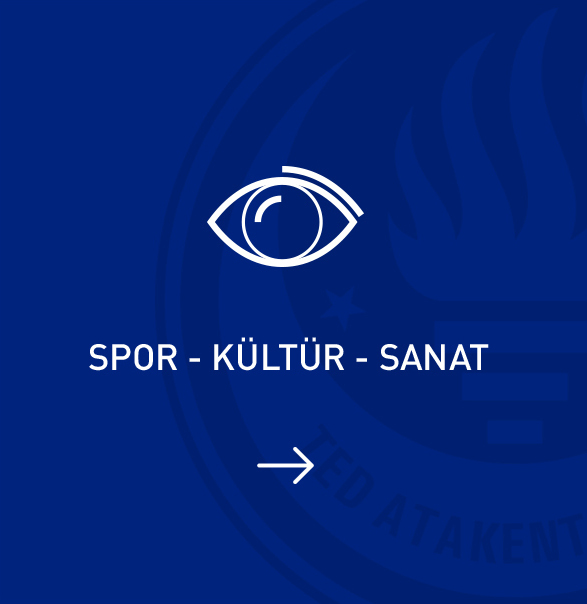 spo kultur sanat