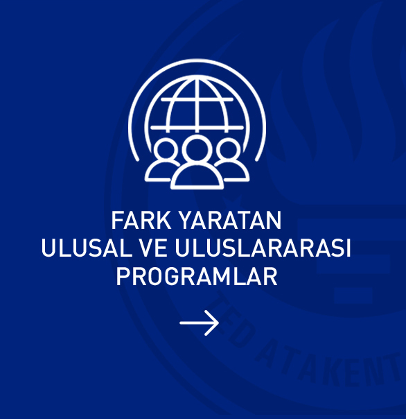 uls programlar