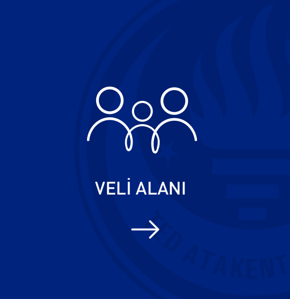 veli alanı